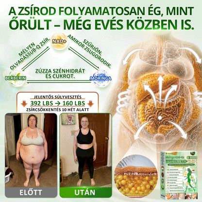 🔥Hivatalos Áruház |🍀BSWELL® Moringa × Berberin × NAD+ 10 az 1-ben Nano Mikrotűs Tapasz (Naponta egyszer, látható változások 7 nap után) ✅ Elhízás, megereszkedett bőr, cukorbetegség, alvási apnoé, ízületi problémák